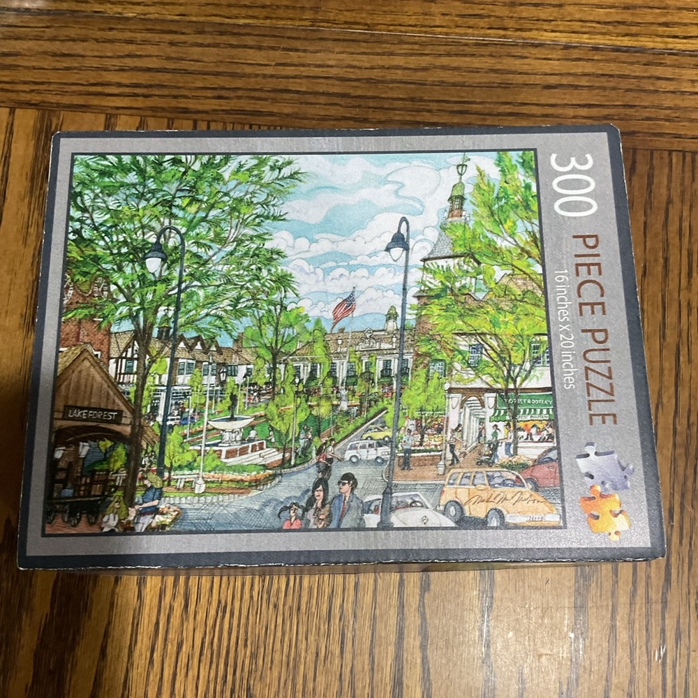 LAKE FOREST, IL 300 Piece Puzzle with Scenic Town Illustration Market Square